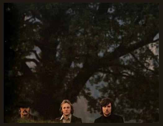 Crosby Stills Nash and Young